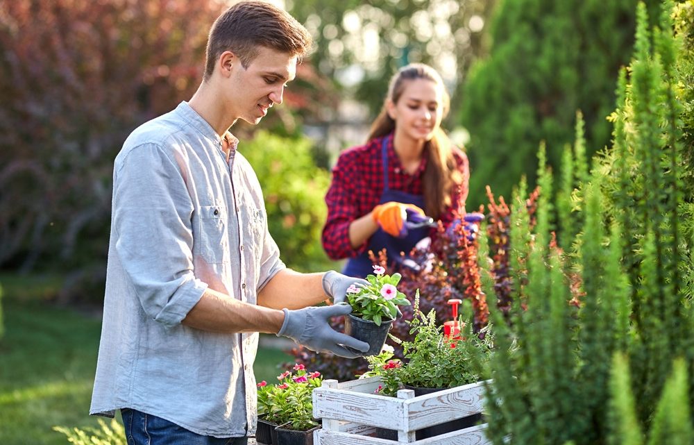 Ogrodnik – profesjonalne wsparcie w zakładaniu ogrodów
