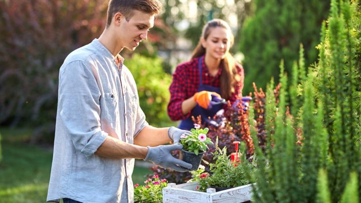 Ogrodnik – profesjonalne wsparcie w zakładaniu ogrodów
