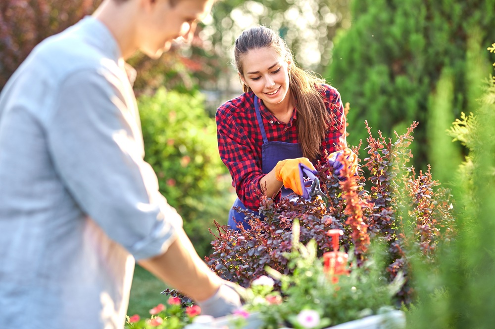 Zakładanie ogrodów Poznań